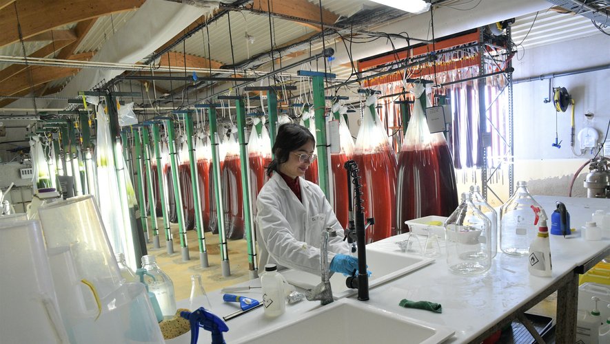 Technicienne en blouse blanche manipulant du matériel dans un laboratoire équipé de grands sacs transparents suspendus remplis de liquide rouge éclairé par des lampes.